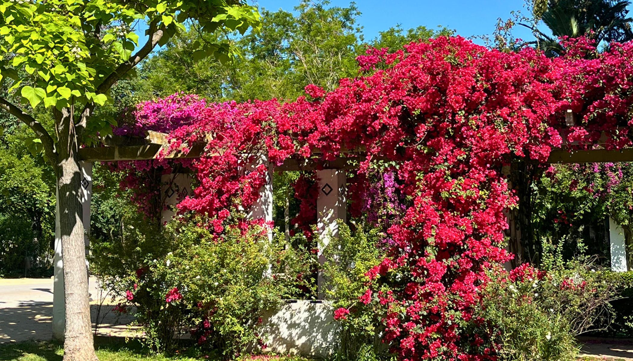 Que faire à Séville au printemps ?